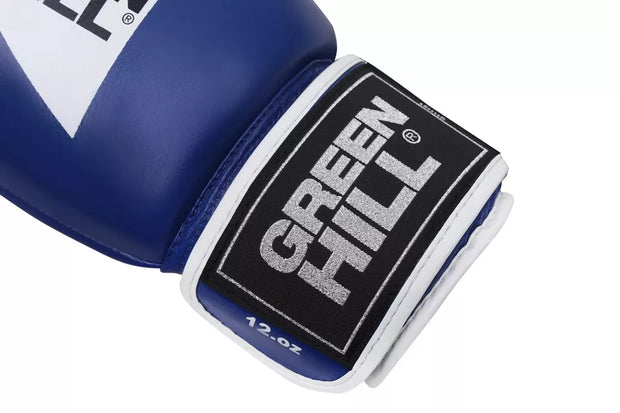 HAMED TARGET Kids Boxing Gloves – Kickboxing, Training & Sparring in Artificial Leather
