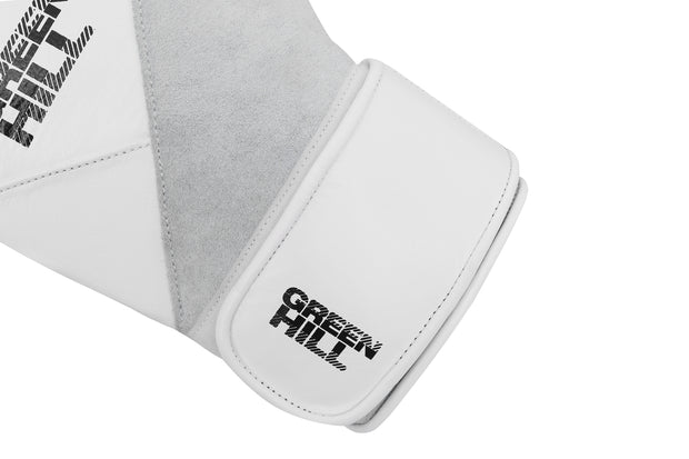 AURORA Boxing Gloves – Muay Thai, Kickboxing, MMA Training & Sparring in Synthetic Leather