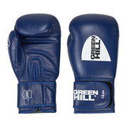 Boxing Gloves PRO-7 + Focus Mitts FAWN
