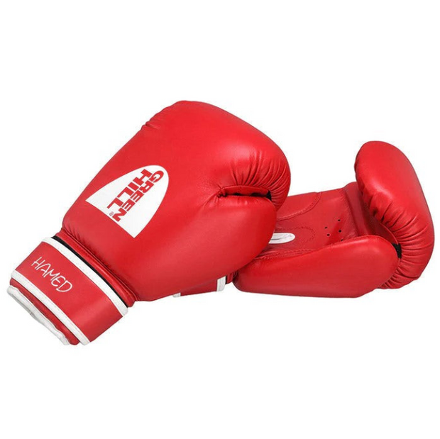 Boxing Gloves HAMED + Focus Mitts BEST + Head Guard STAR
