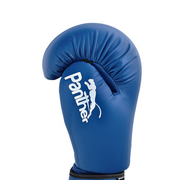Boxing Gloves PANTHER + Mouth Guard ADULT + Focus Mitts TARGET + Shoes CLASSIC