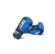 Boxing Gloves PANTHER + Mouth Guard ADULT + Focus Mitts TARGET + Shoes CLASSIC