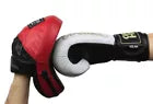 Boxing Gloves COMBAT + Focus Mitts FAWN