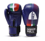 LEOPARD Amateur Boxing Gloves – Durable and Comfortable Vinyl Construction