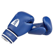 Boxing Gloves HAMED + Focus Mitts BEST + Head Guard STAR