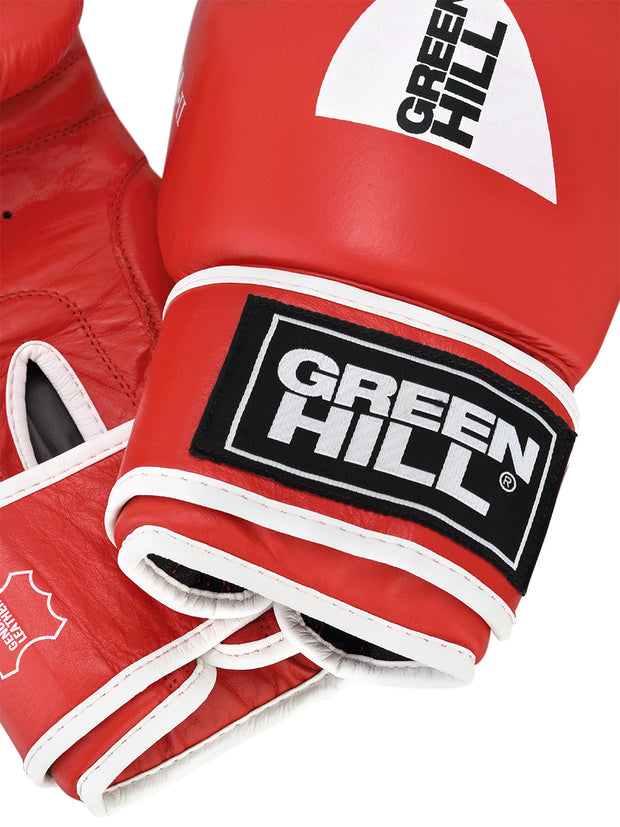 Boxing Gloves PUNCH II + Shorts FIGHTER + Shoes STORM