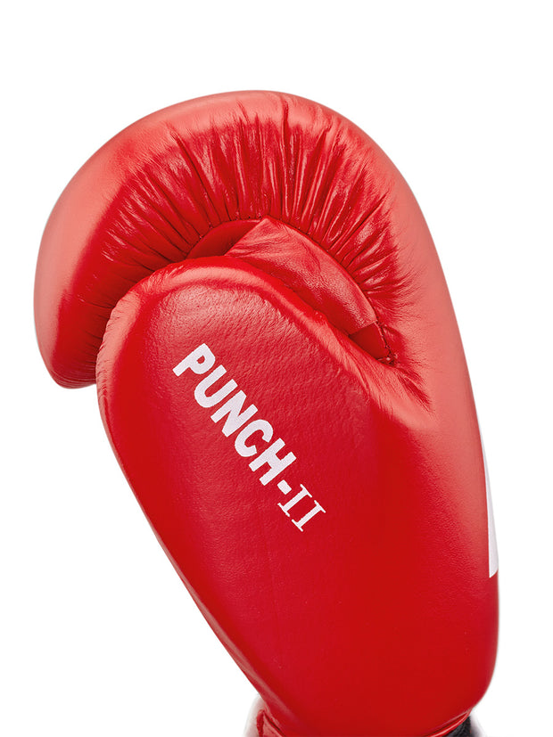Boxing Gloves PUNCH II + Shorts FIGHTER + Shoes STORM